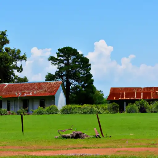 Rural homes in Webster, Mississippi