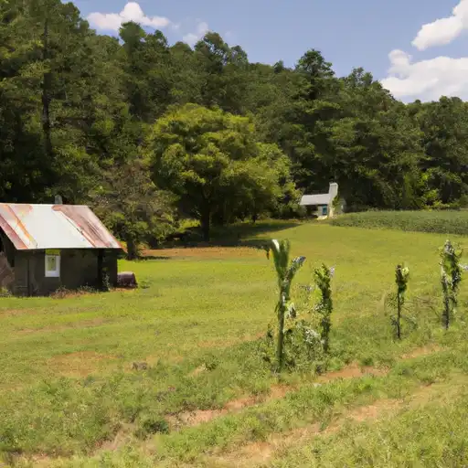 Rural homes in Caldwell, North Carolina