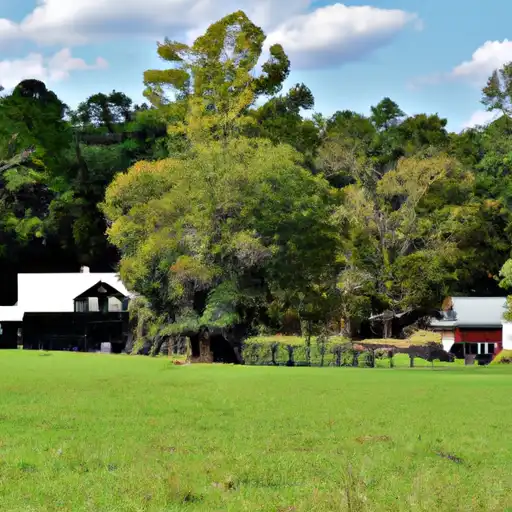 Rural homes in Gaston, North Carolina