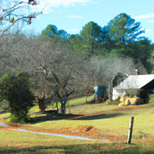 Rural homes in Lee, North Carolina