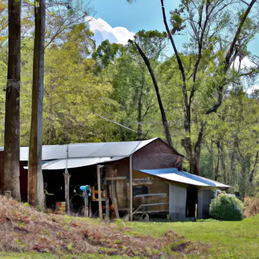 Rural homes in Martin, North Carolina