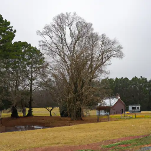 Rural homes in Moore, North Carolina