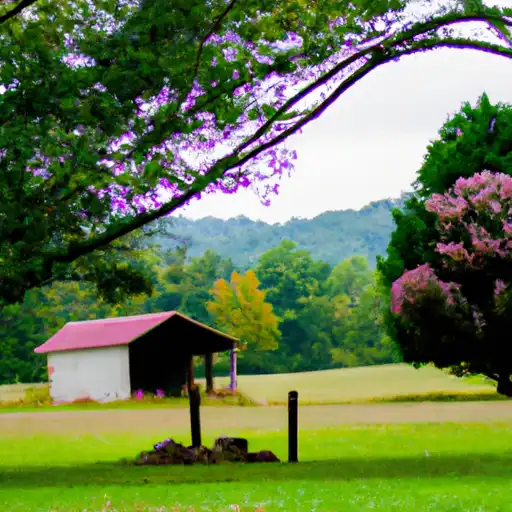 Rural homes in Rutherford, North Carolina