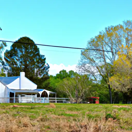 Rural homes in Tyrrell, North Carolina