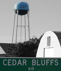 City Logo for Cedar_Bluffs