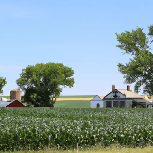 Rural homes in Nuckolls, Nebraska