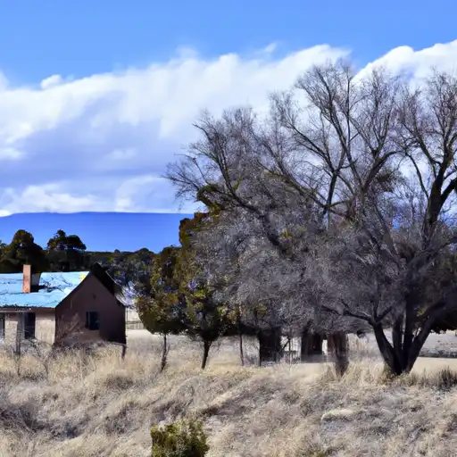 Rural homes in Harding, New Mexico
