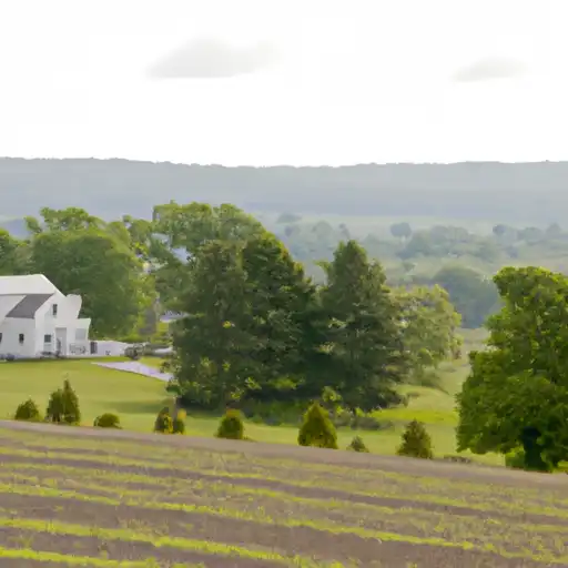 Rural homes in Cayuga, New York
