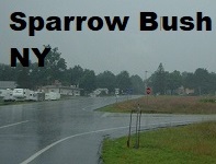 City Logo for Sparrow_Bush