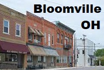 City Logo for Bloomville