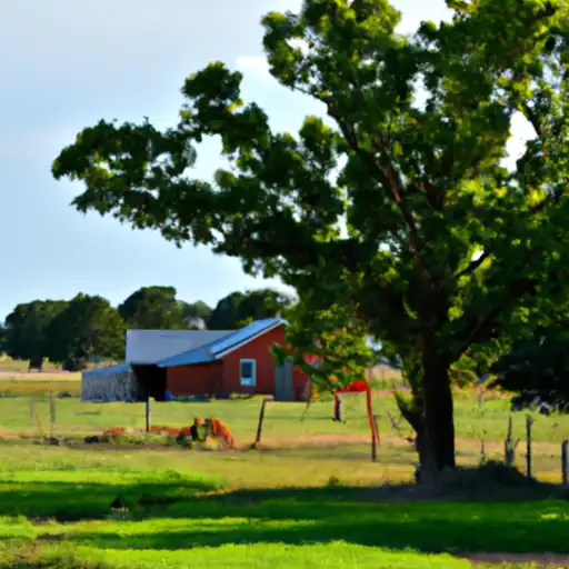 Rural homes in Sequoyah, Oklahoma