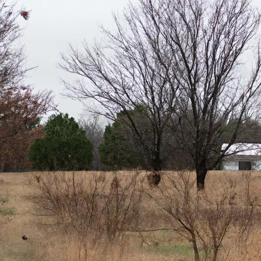 Rural homes in Wagoner, Oklahoma