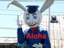 City Logo for Aloha