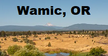 City Logo for Wamic