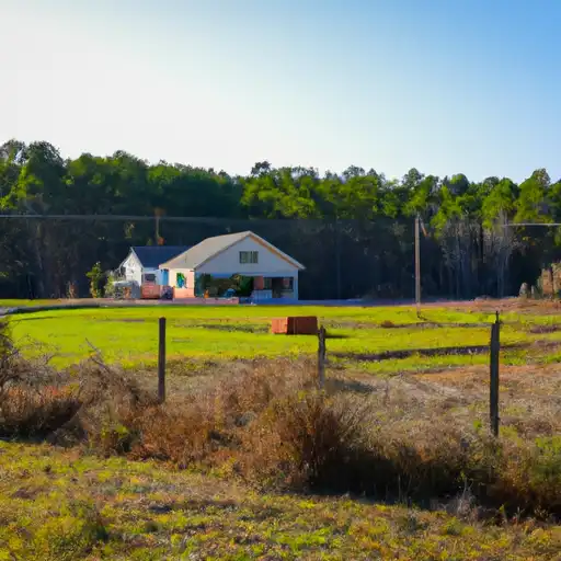Rural homes in Bamberg, South Carolina