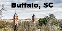 City Logo for Buffalo