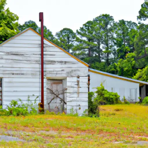 Rural homes in Dillon, South Carolina