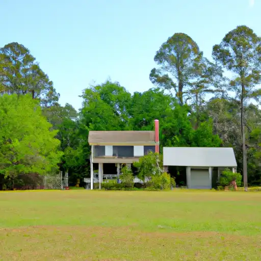 Rural homes in Fairfield, South Carolina