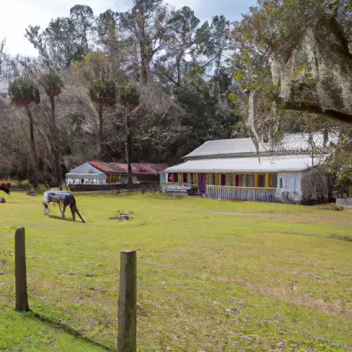 Rural homes in Hampton, South Carolina