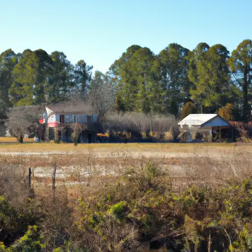 Rural homes in Marion, South Carolina