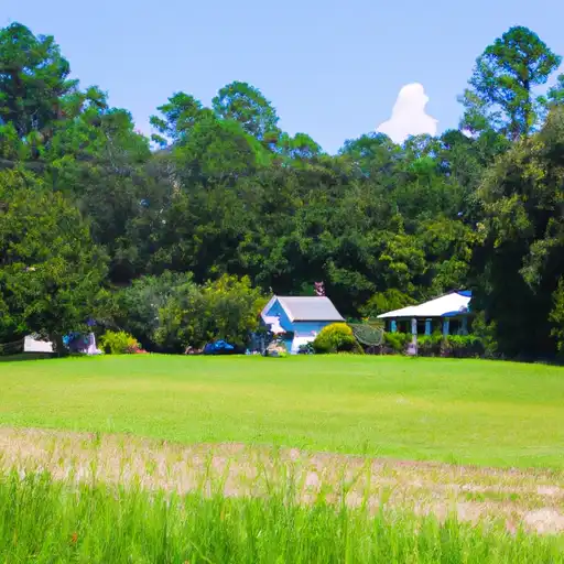 Rural homes in Marlboro, South Carolina