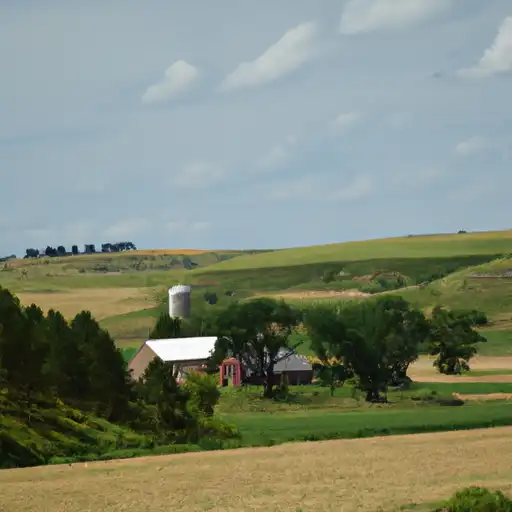 Rural homes in Codington, South Dakota