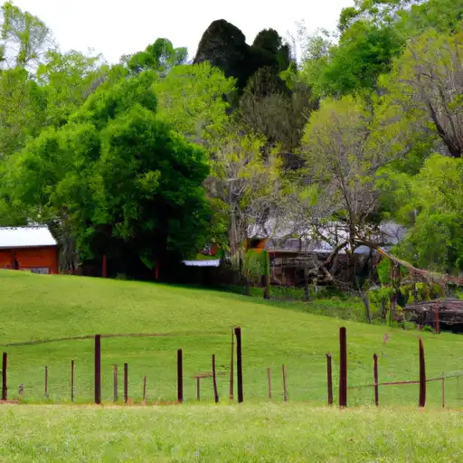 Rural homes in Crockett, Tennessee