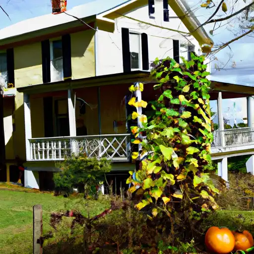 Rural homes in Decatur, Tennessee
