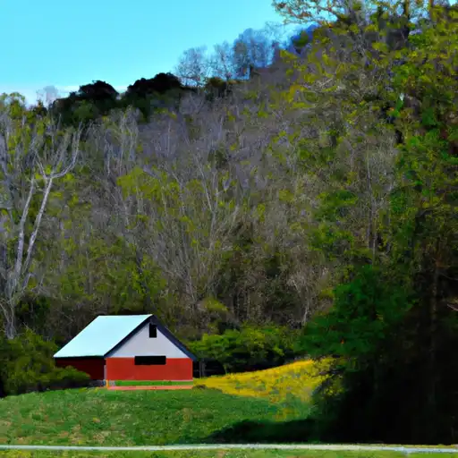 Rural homes in Franklin, Tennessee