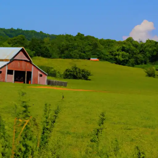 Rural homes in Gibson, Tennessee