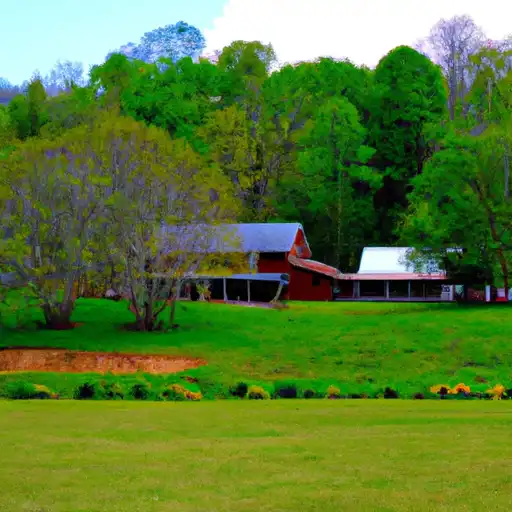 Rural homes in Henderson, Tennessee