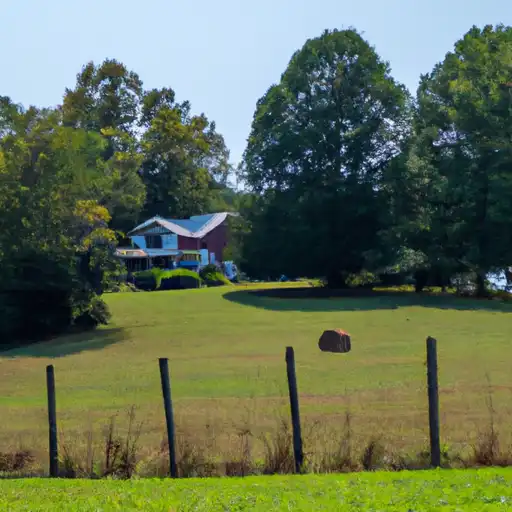 Rural homes in Henry, Tennessee