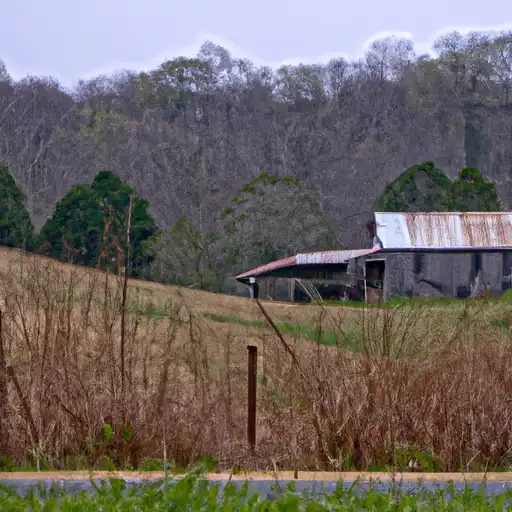 Rural homes in Hickman, Tennessee