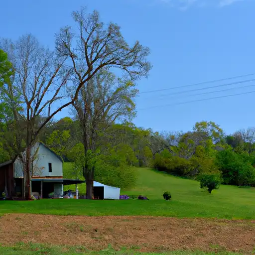 Rural homes in Marshall, Tennessee