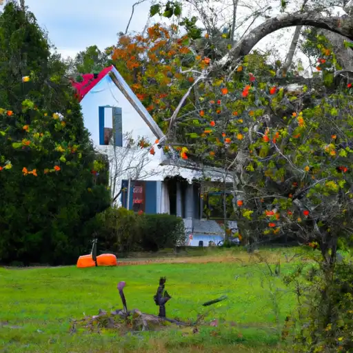 Rural homes in Montgomery, Tennessee