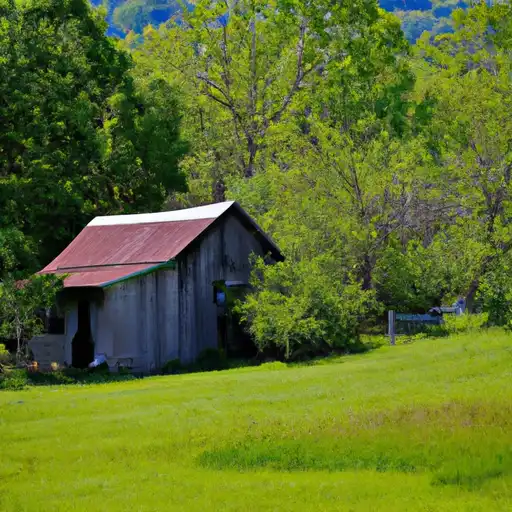 Rural homes in Stewart, Tennessee