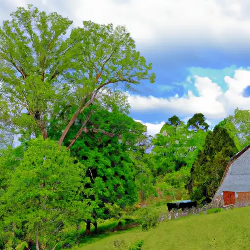 Rural homes in Washington, Tennessee