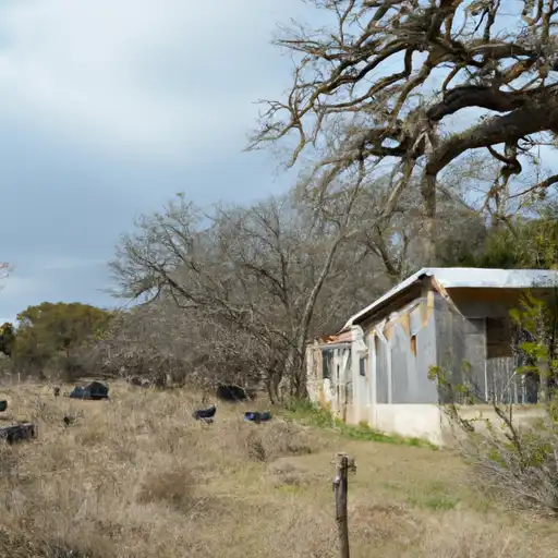 Rural homes in Bexar, Texas