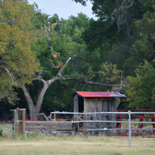 Rural homes in Brazos, Texas