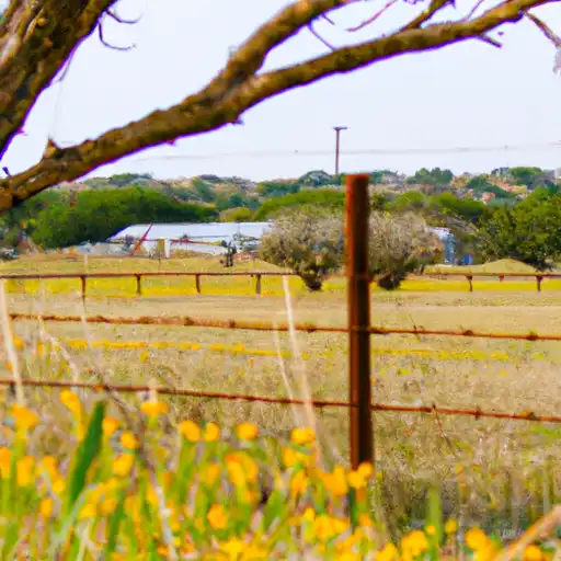 Rural homes in Coryell, Texas