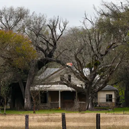 Rural homes in Ellis, Texas