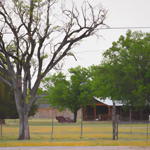 Rural homes in Falls, Texas