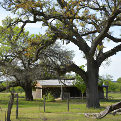 Rural homes in Freestone, Texas