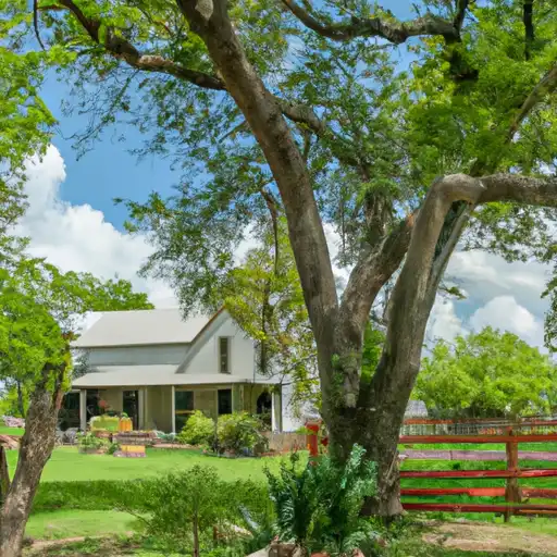 Rural homes in Grimes, Texas