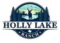 City Logo for Holly_Lake_Ranch