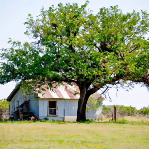 Rural homes in Hopkins, Texas