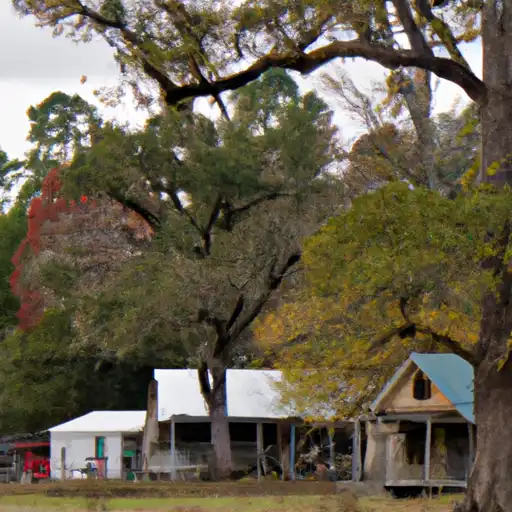 Rural homes in Houston, Texas