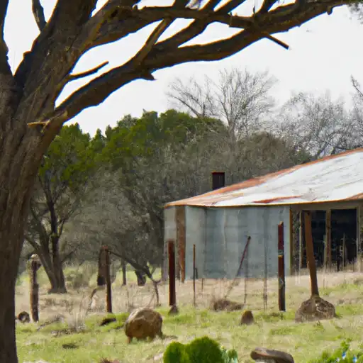 Rural homes in Jim Wells, Texas