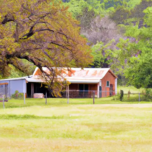 Rural homes in Knox, Texas