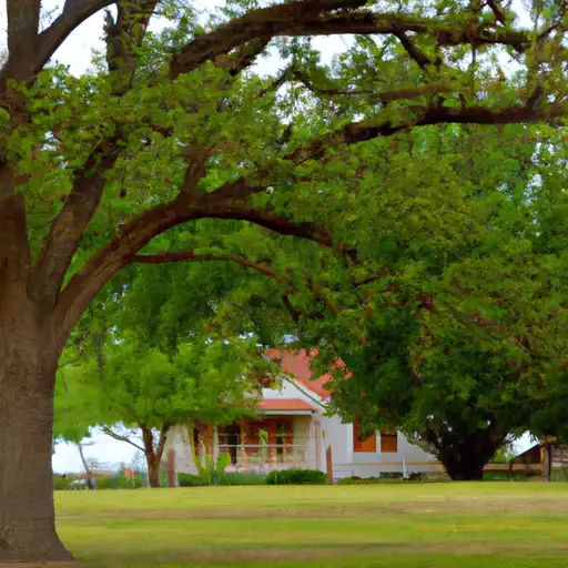 Rural homes in Loving, Texas